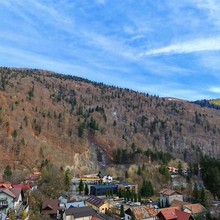 Apartament Panoramic View Sinaiaアパートメント エクステリア 写真