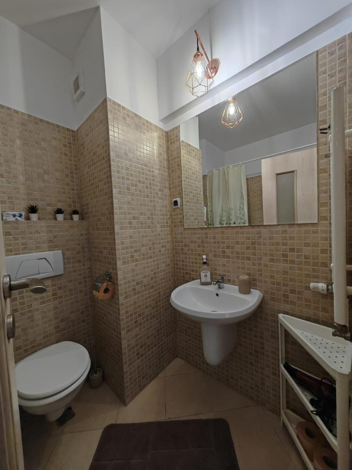 Apartament Panoramic View Sinaiaアパートメント エクステリア 写真