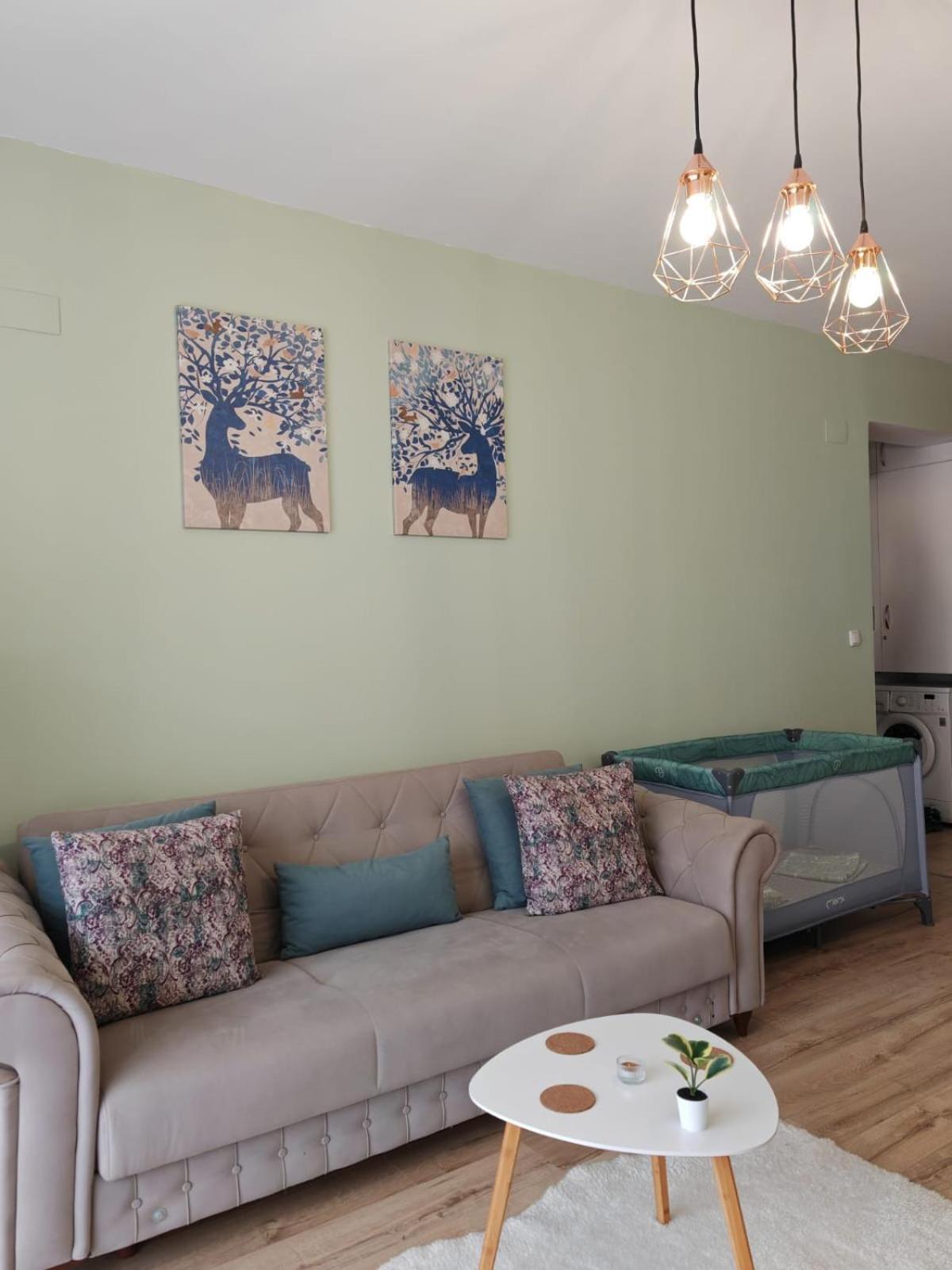 Apartament Panoramic View Sinaiaアパートメント エクステリア 写真