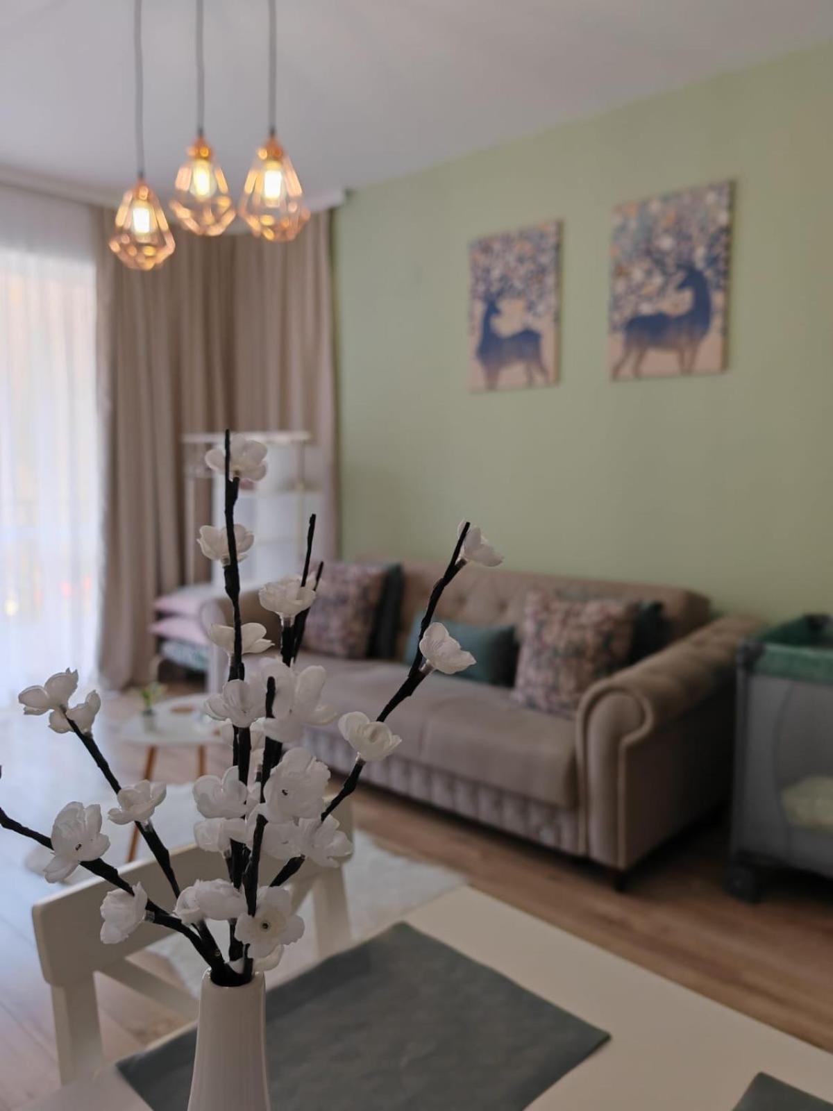 Apartament Panoramic View Sinaiaアパートメント エクステリア 写真